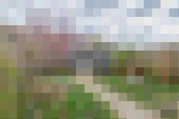 Clusiusstraat 120 Lisse thumbnail 25