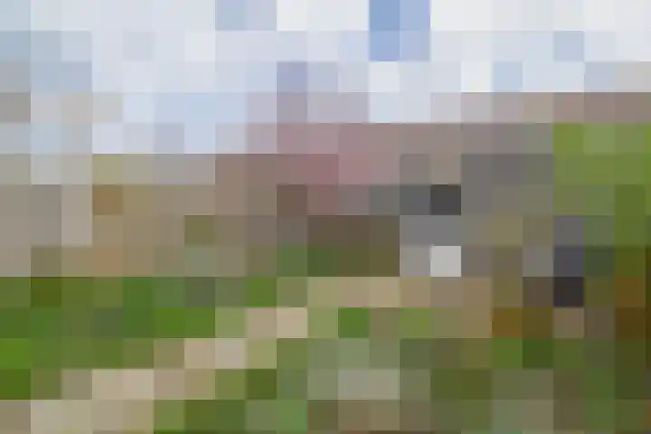 Clusiusstraat 120 Lisse thumbnail 26