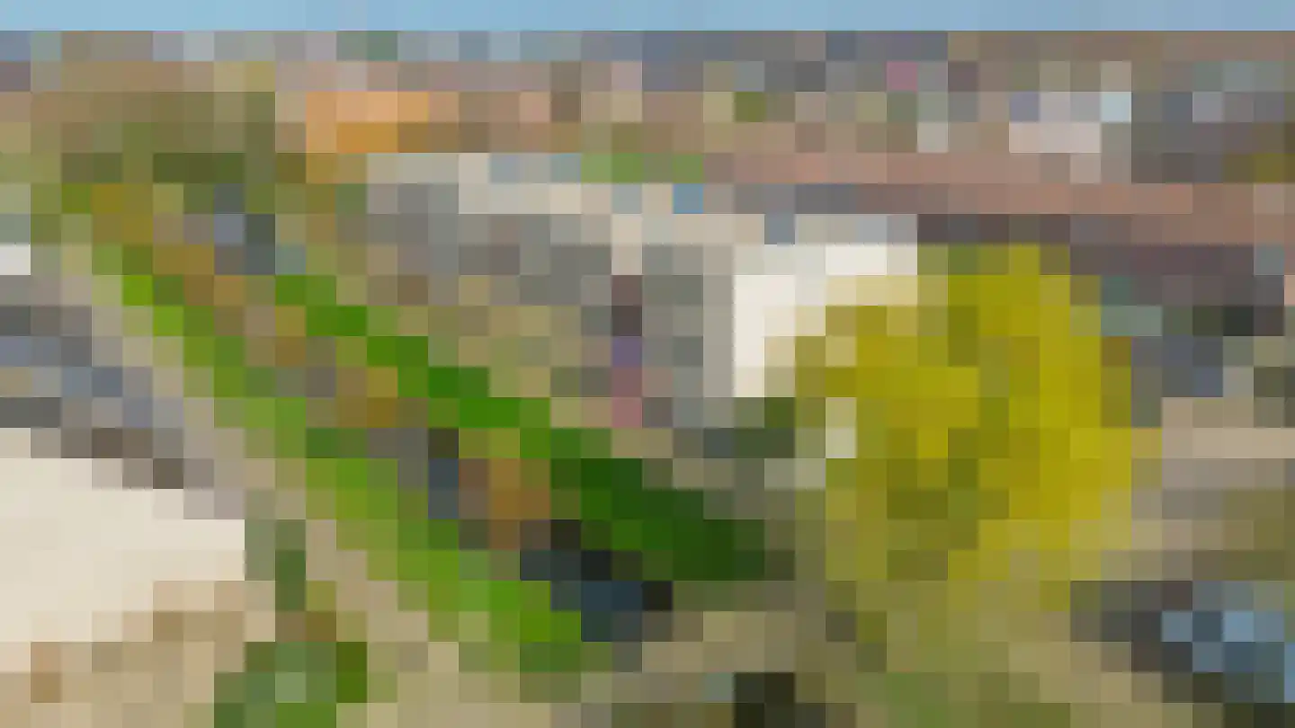 Clusiusstraat 120 Lisse thumbnail 33