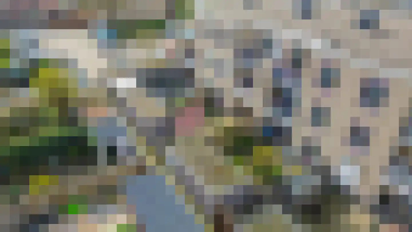 Clusiusstraat 120 Lisse thumbnail 35