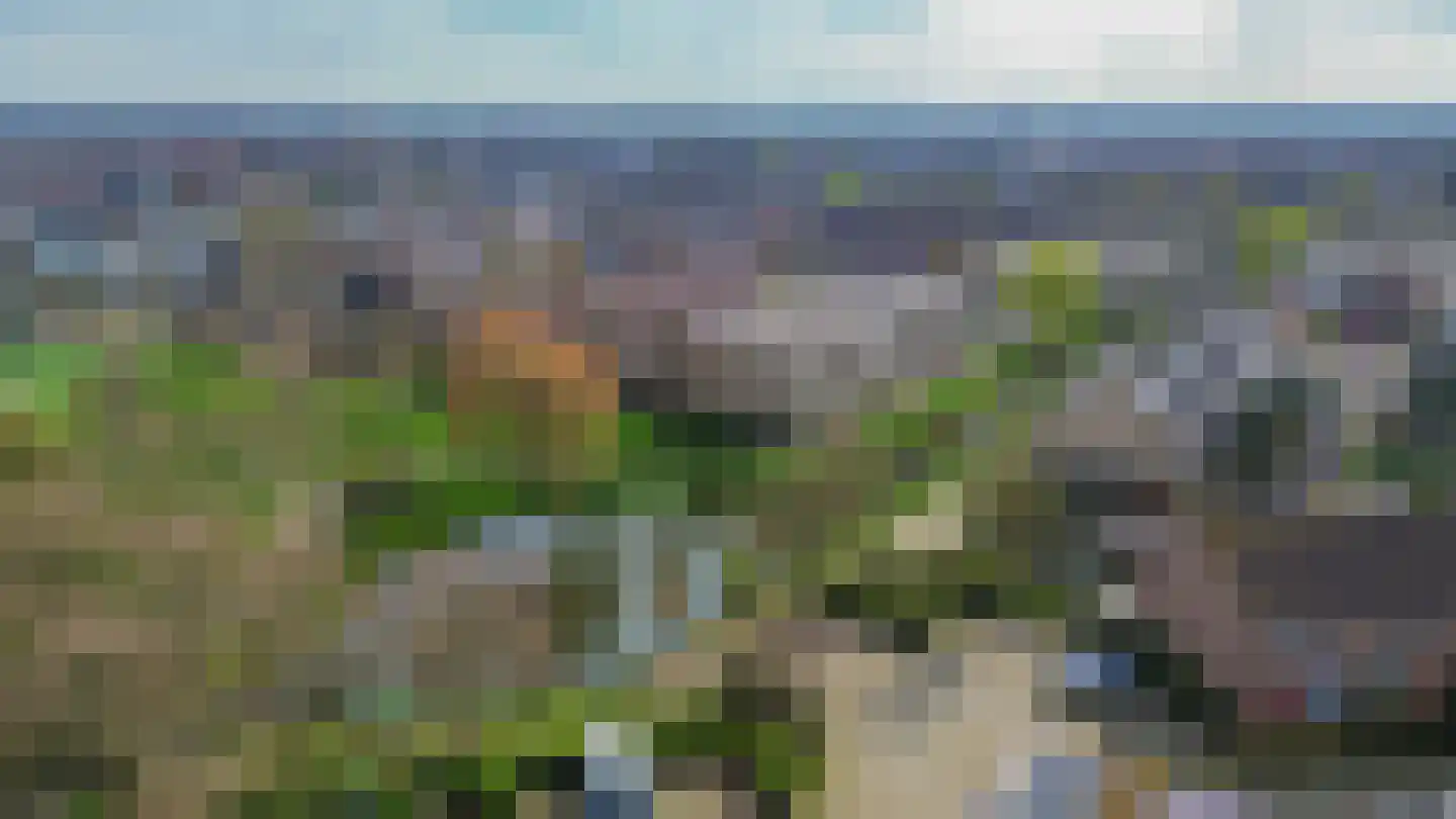 Clusiusstraat 120 Lisse thumbnail 37