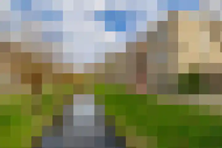 Clusiusstraat 120 Lisse thumbnail 38