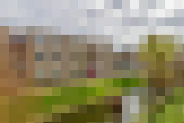 Clusiusstraat 120 Lisse thumbnail 39