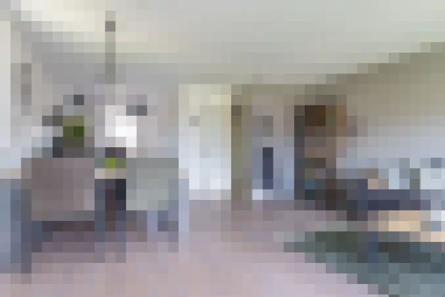 Clusiusstraat 152 Lisse thumbnail 11