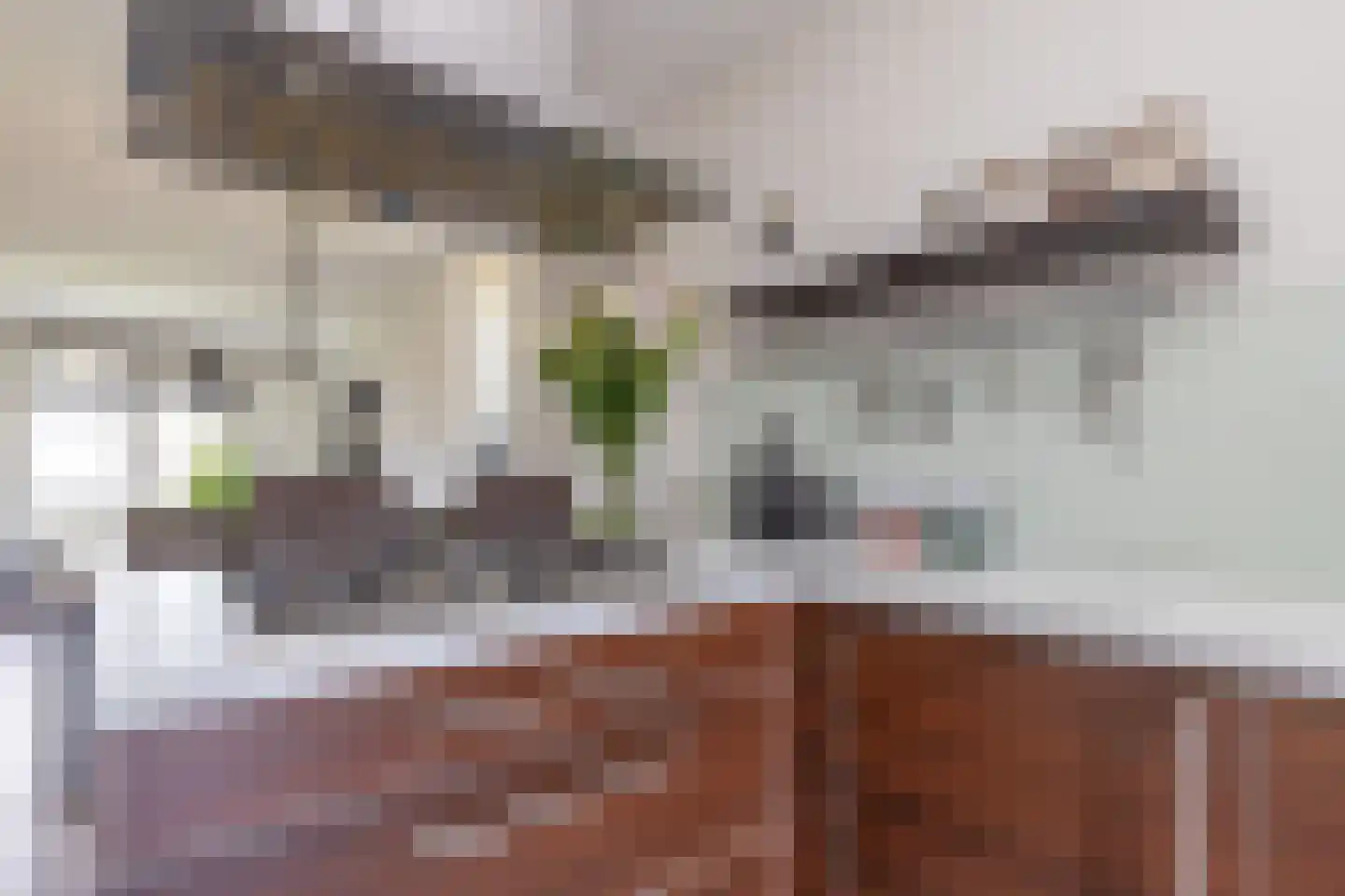 Clusiusstraat 152 Lisse thumbnail 16