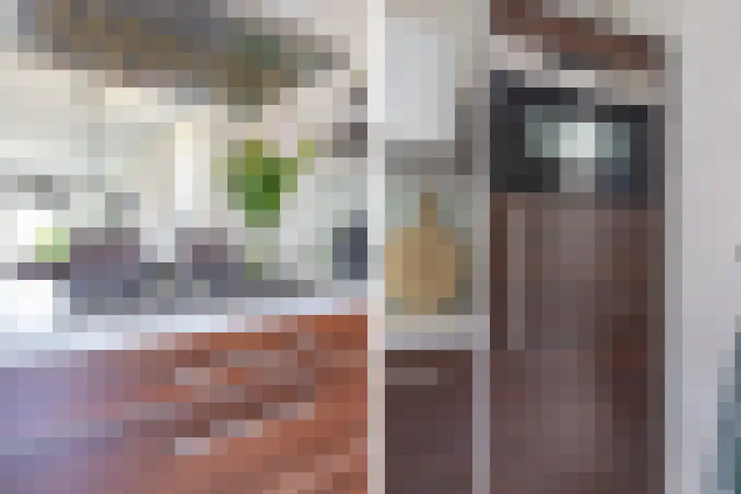 Clusiusstraat 152 Lisse thumbnail 17
