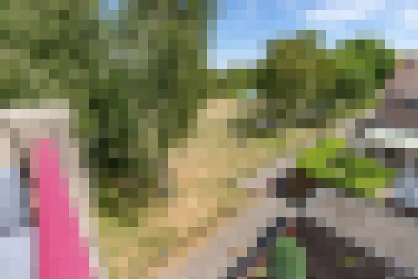 Clusiusstraat 152 Lisse thumbnail 25