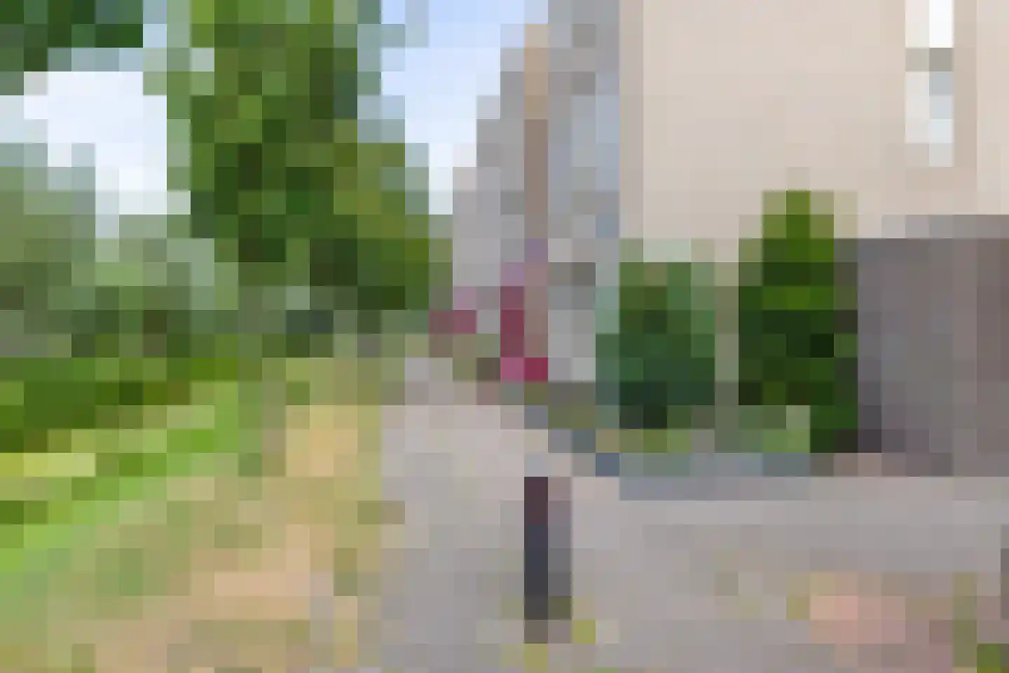 Clusiusstraat 152 Lisse thumbnail 30