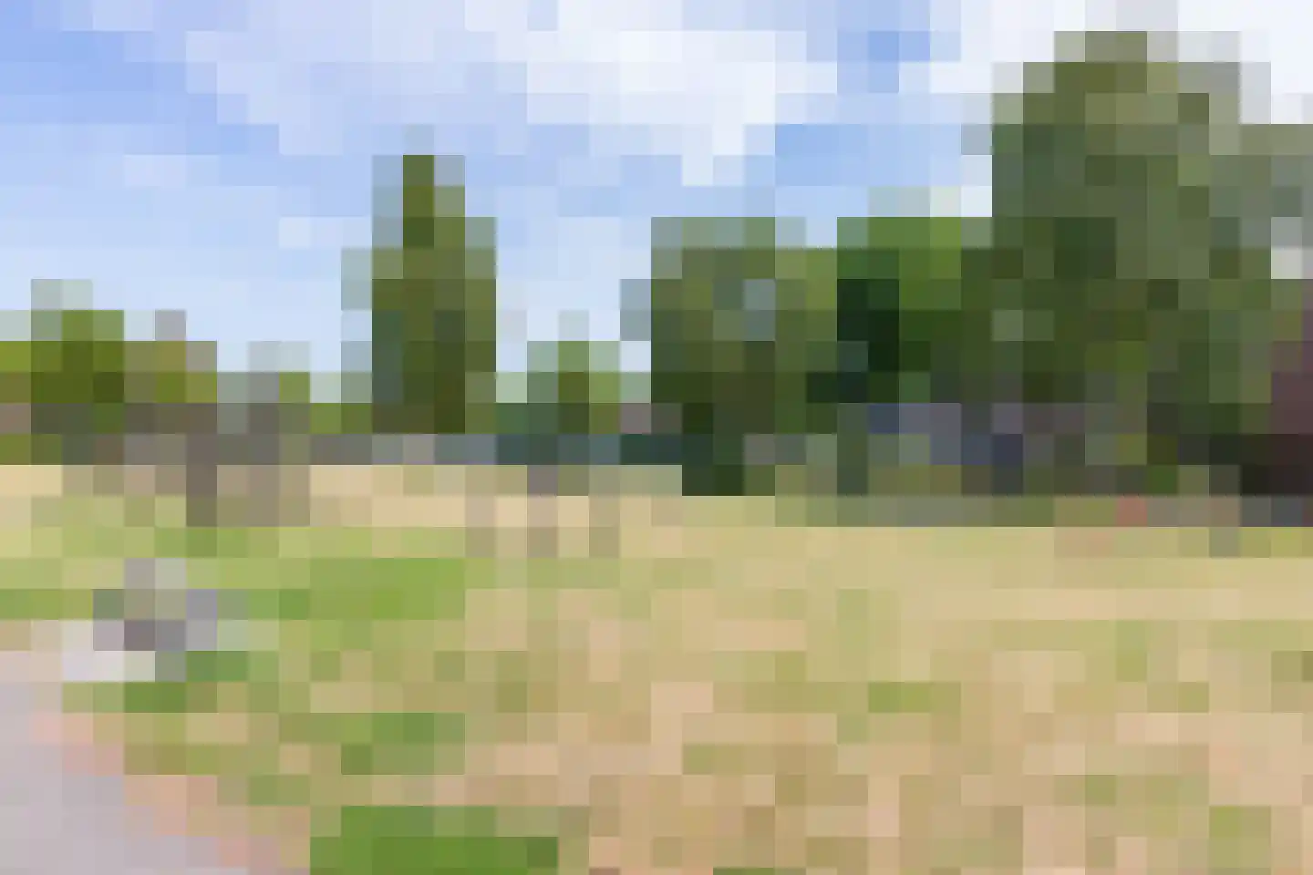 Clusiusstraat 152 Lisse thumbnail 32