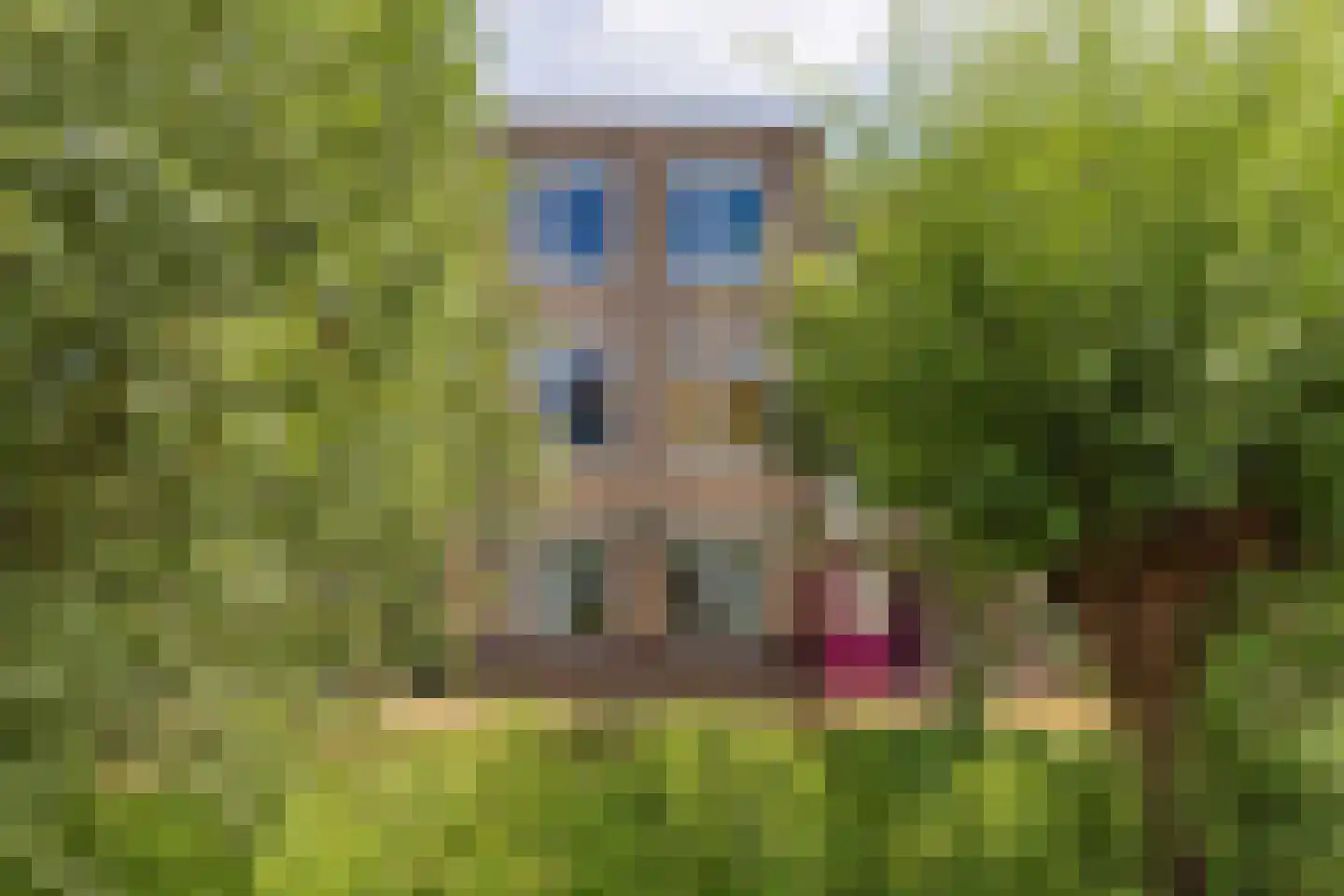 Clusiusstraat 152 Lisse thumbnail 33