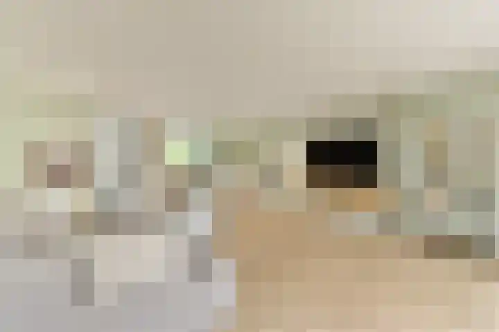 Clusiusstraat 3 Lisse thumbnail 10