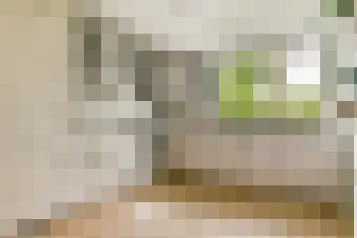 Clusiusstraat 3 Lisse thumbnail 13