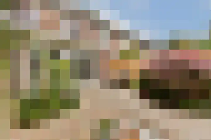 Clusiusstraat 3 Lisse thumbnail 15