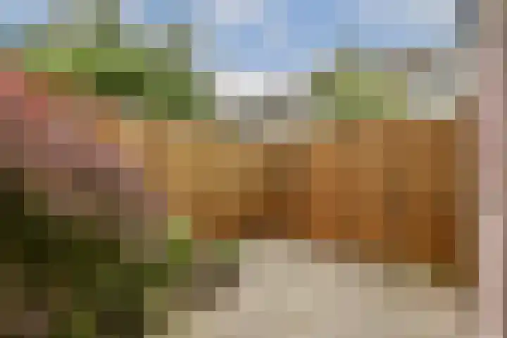 Clusiusstraat 3 Lisse thumbnail 16