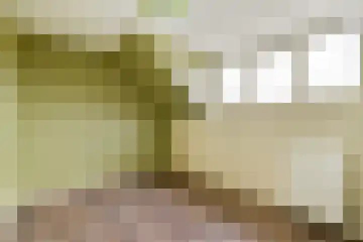 Clusiusstraat 3 Lisse thumbnail 32