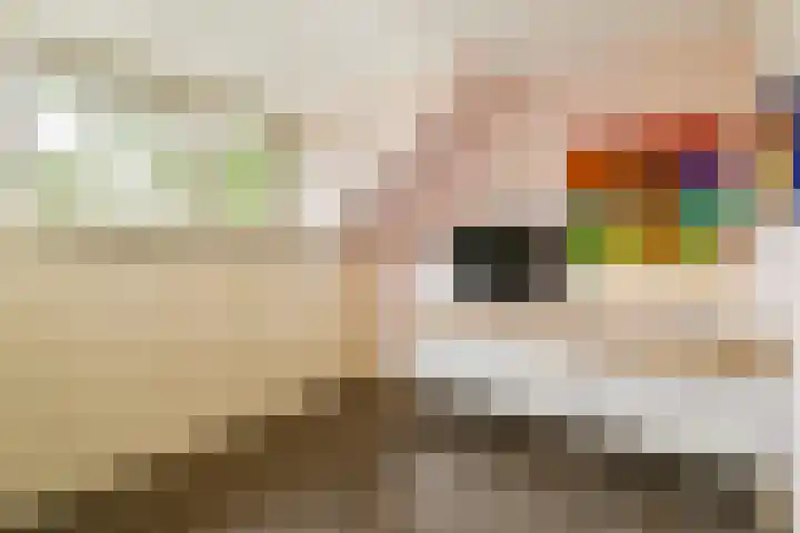 Clusiusstraat 3 Lisse thumbnail 33
