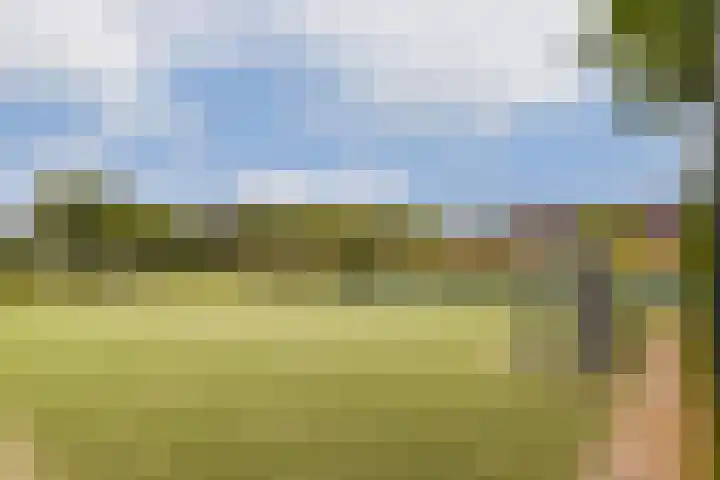 Clusiusstraat 3 Lisse thumbnail 35
