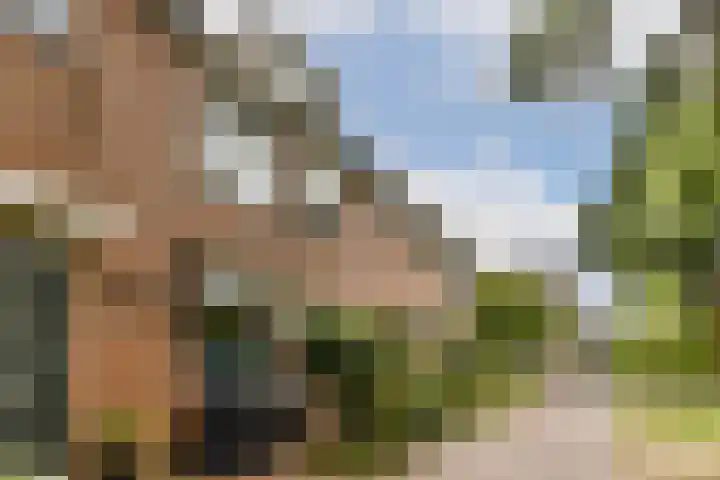 Clusiusstraat 3 Lisse thumbnail 37