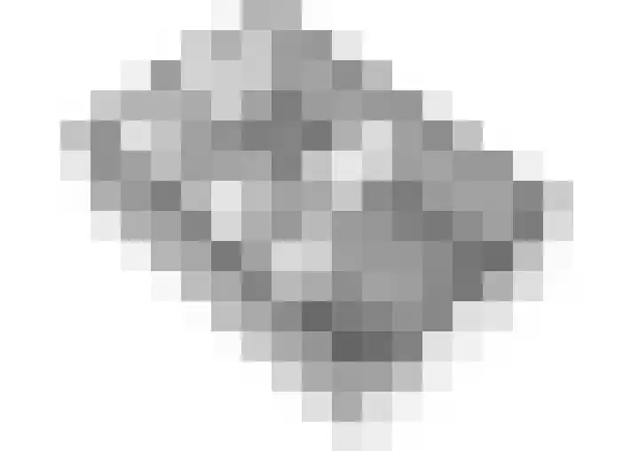Clusiusstraat 3 Lisse thumbnail 41