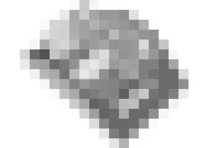 Clusiusstraat 3 Lisse thumbnail 43