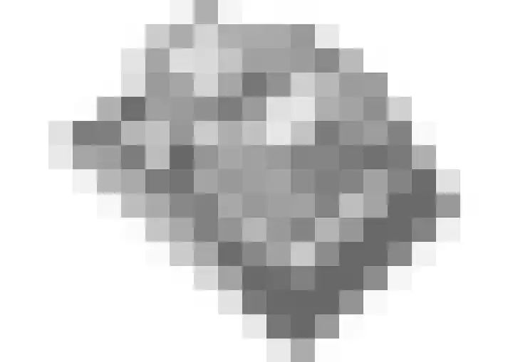 Clusiusstraat 3 Lisse thumbnail 44