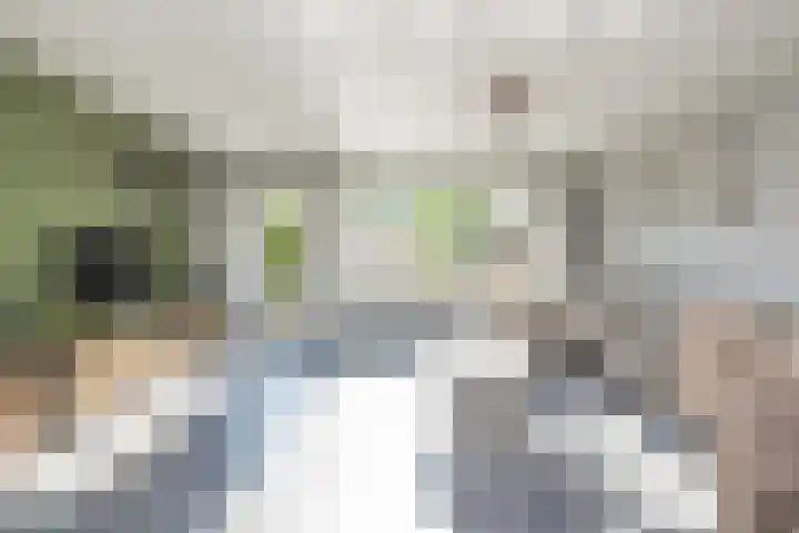 Clusiusstraat 30 Lisse thumbnail 8