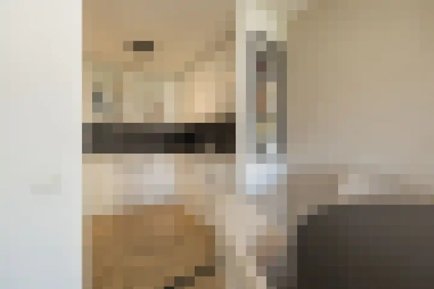 Clusiusstraat 33 Lisse thumbnail 13