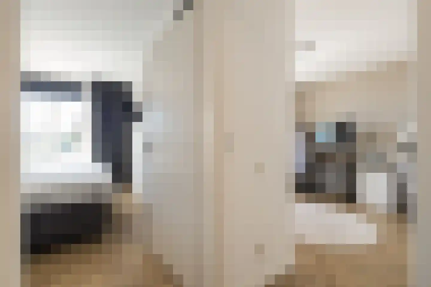 Clusiusstraat 33 Lisse thumbnail 17
