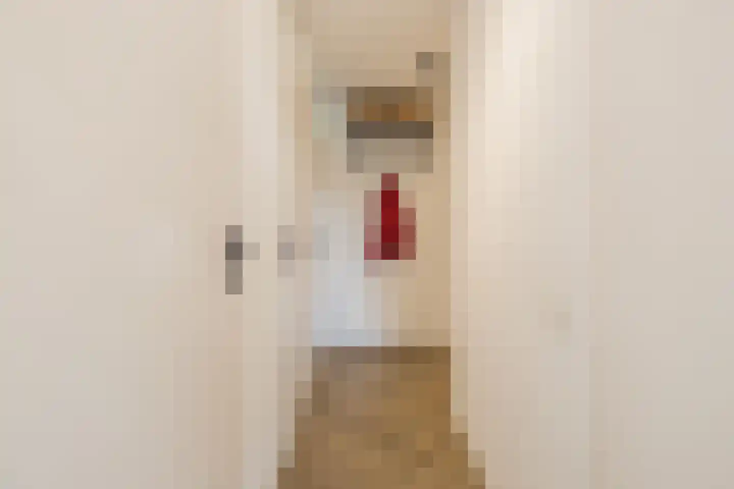 Clusiusstraat 33 Lisse thumbnail 24