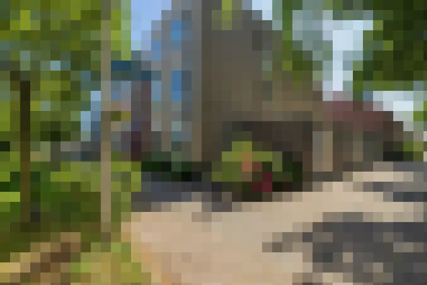 Clusiusstraat 33 Lisse thumbnail 31