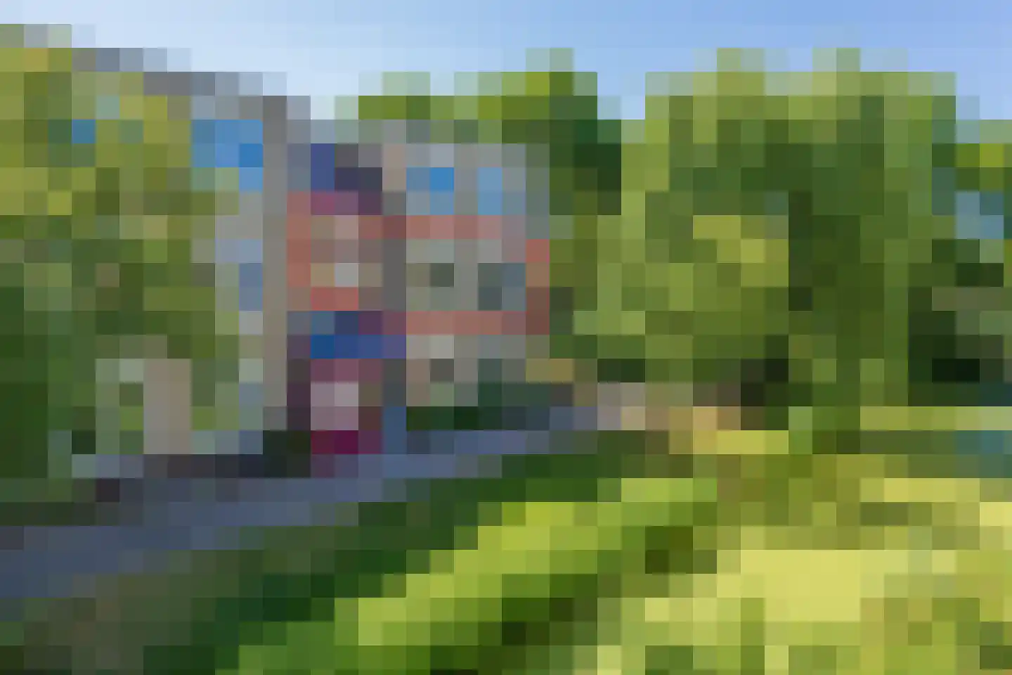 Clusiusstraat 33 Lisse thumbnail 4