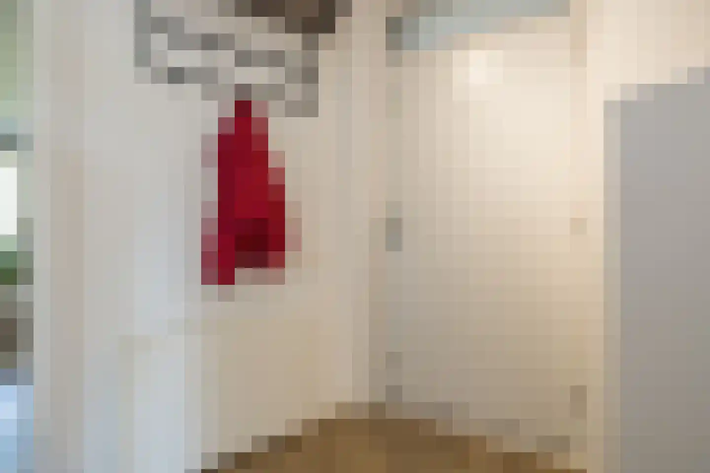 Clusiusstraat 33 Lisse thumbnail 6
