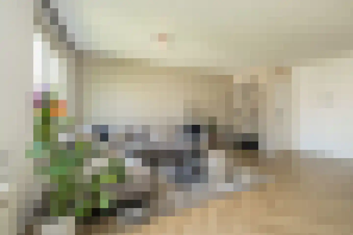 Clusiusstraat 33 Lisse thumbnail 9