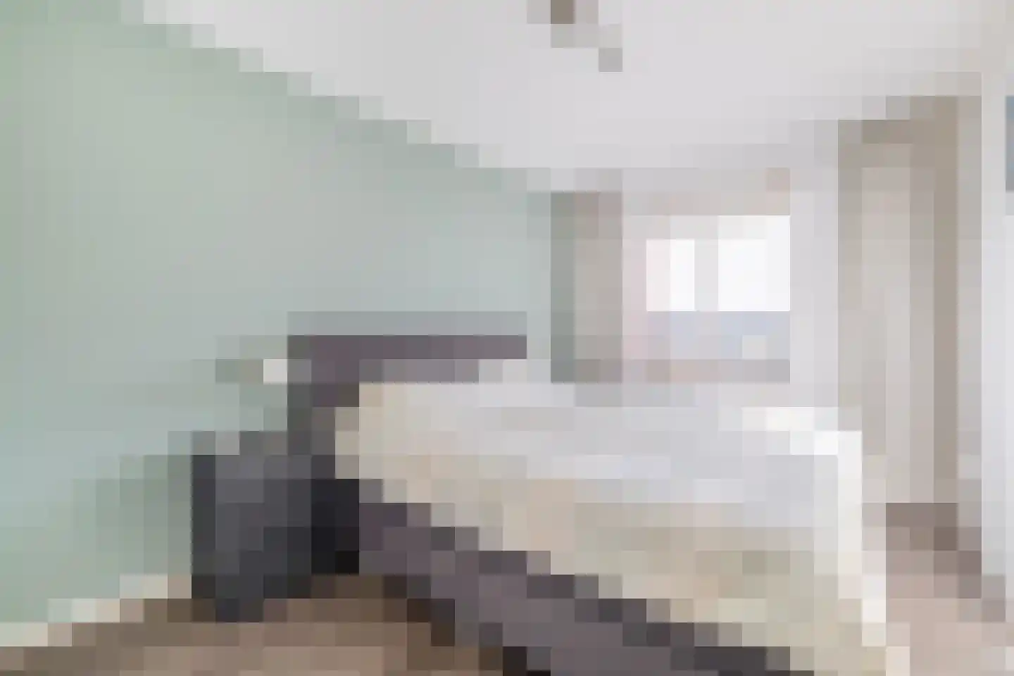 Clusiusstraat 37 Lisse thumbnail 16