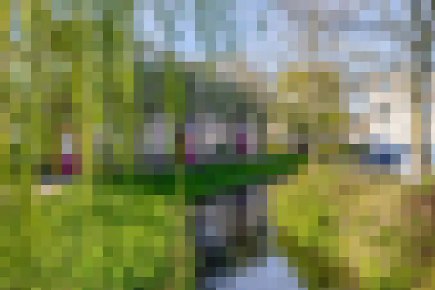 Clusiusstraat 37 Lisse thumbnail 28