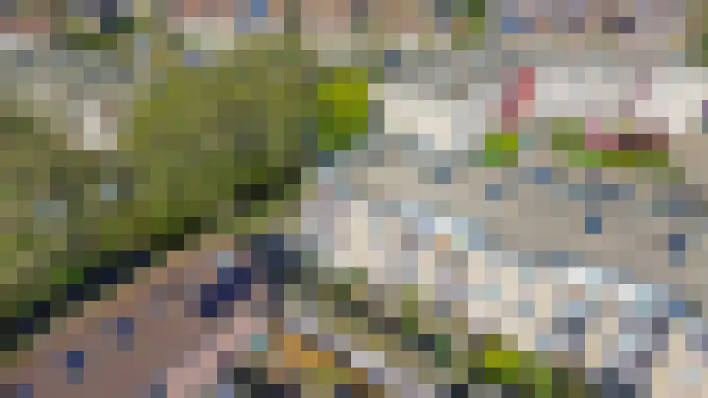 Clusiusstraat 37 Lisse thumbnail 31