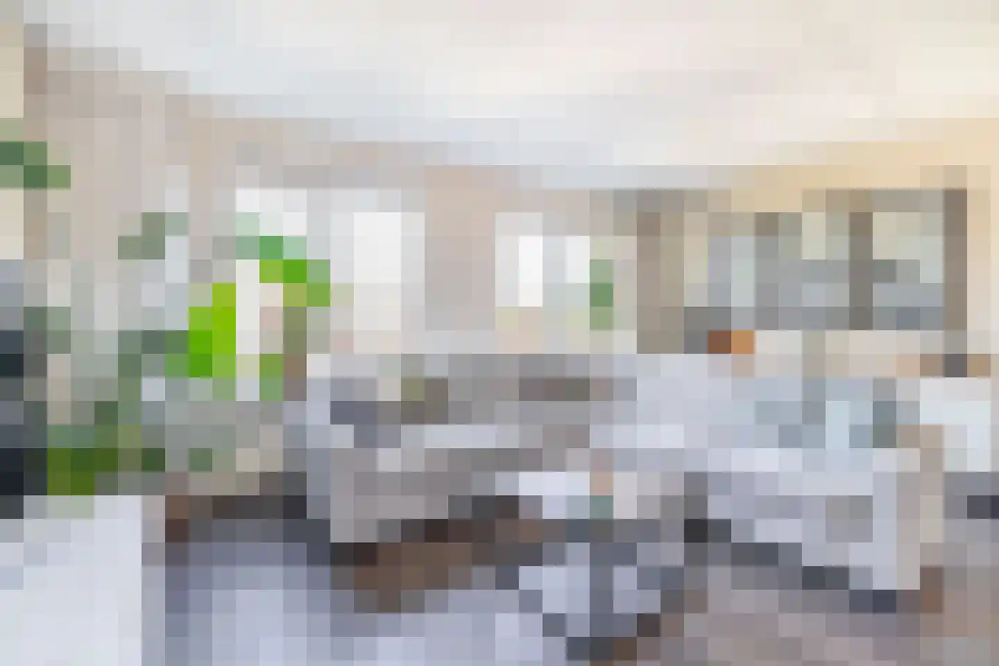 Clusiusstraat 37 Lisse thumbnail 4