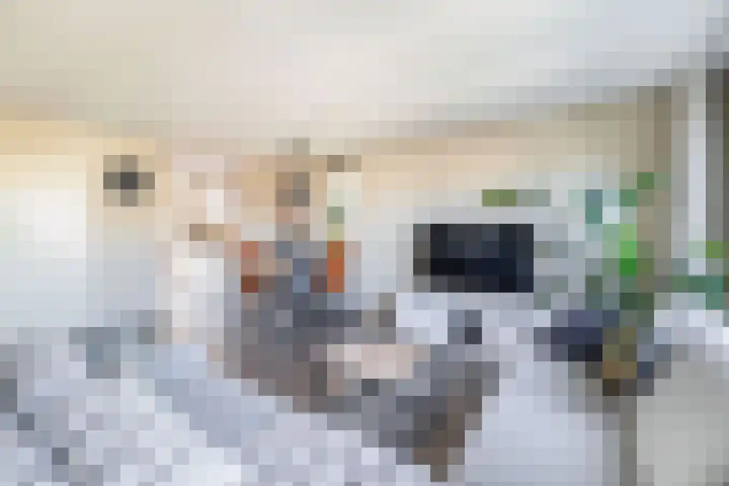 Clusiusstraat 37 Lisse thumbnail 5