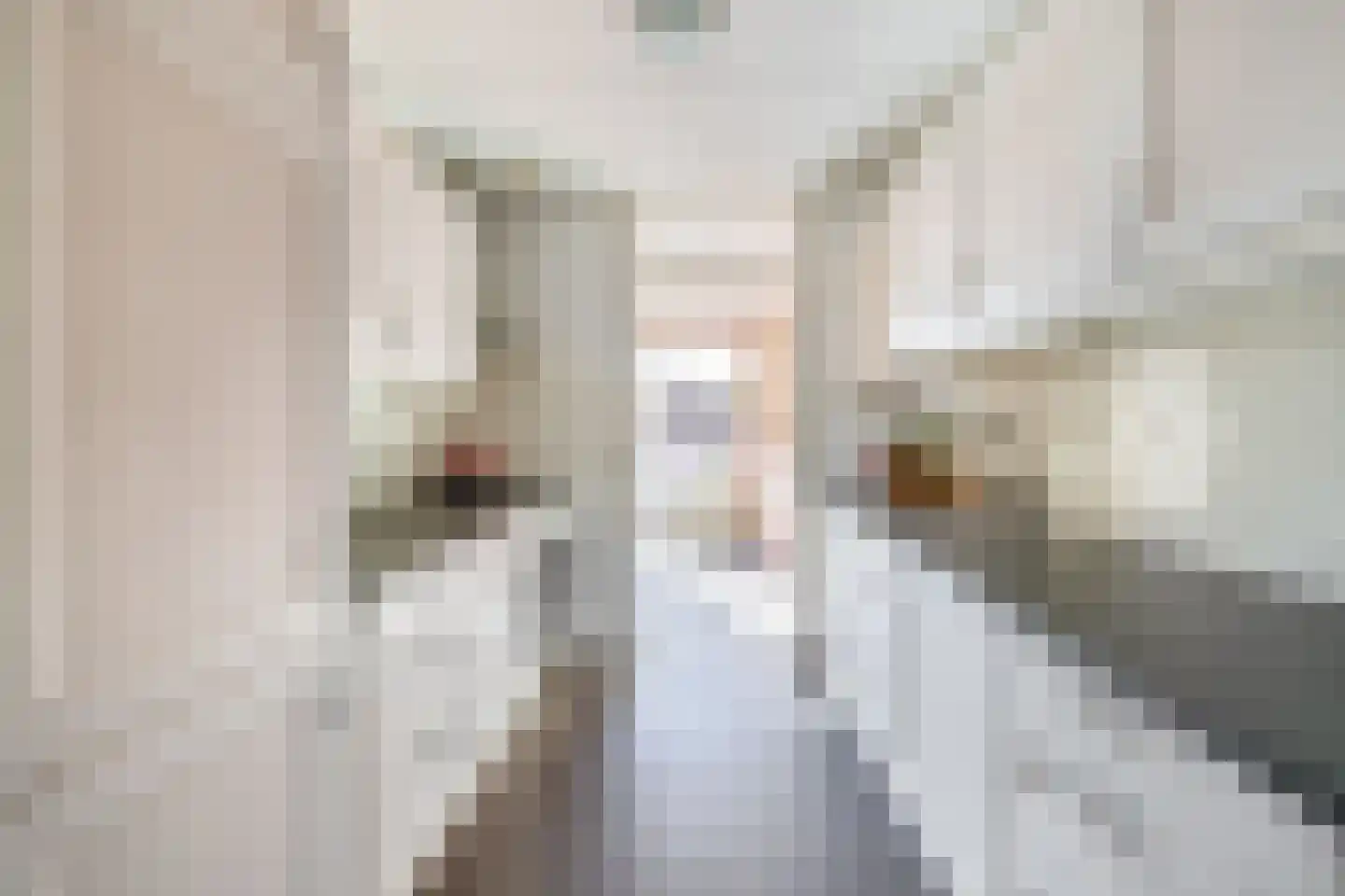 Clusiusstraat 37 Lisse thumbnail 7