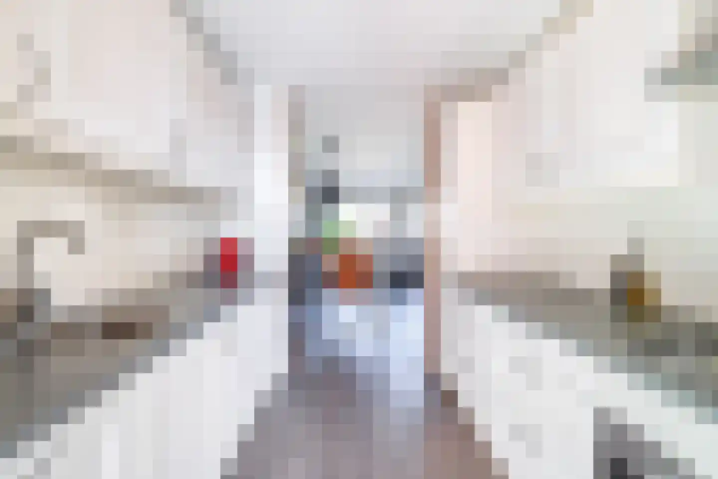 Clusiusstraat 37 Lisse thumbnail 8