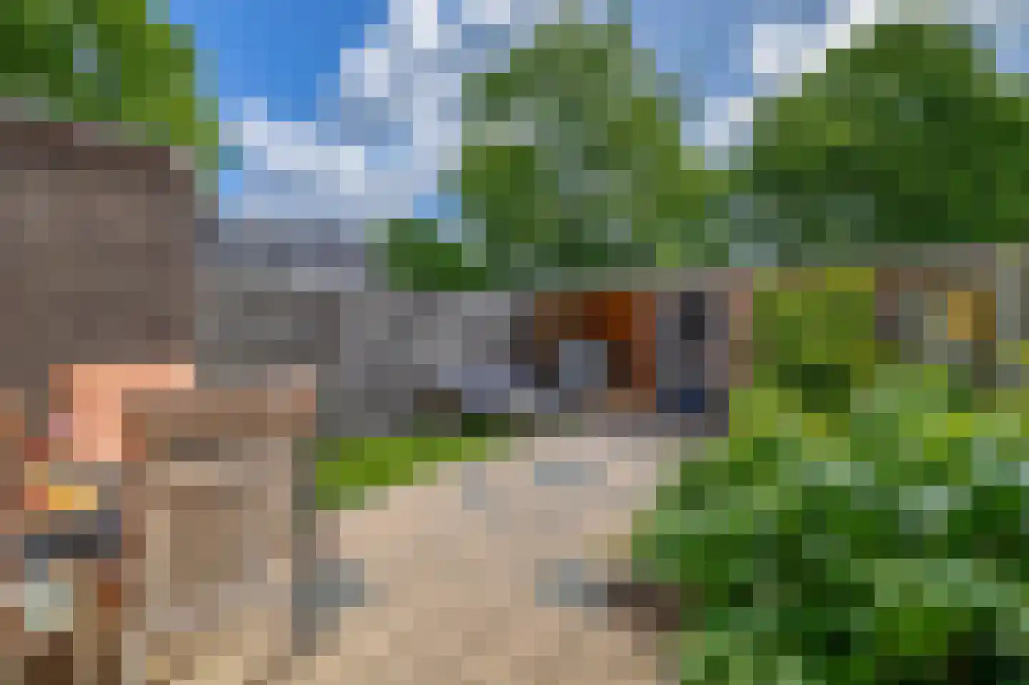 Clusiusstraat 42 Lisse thumbnail 17