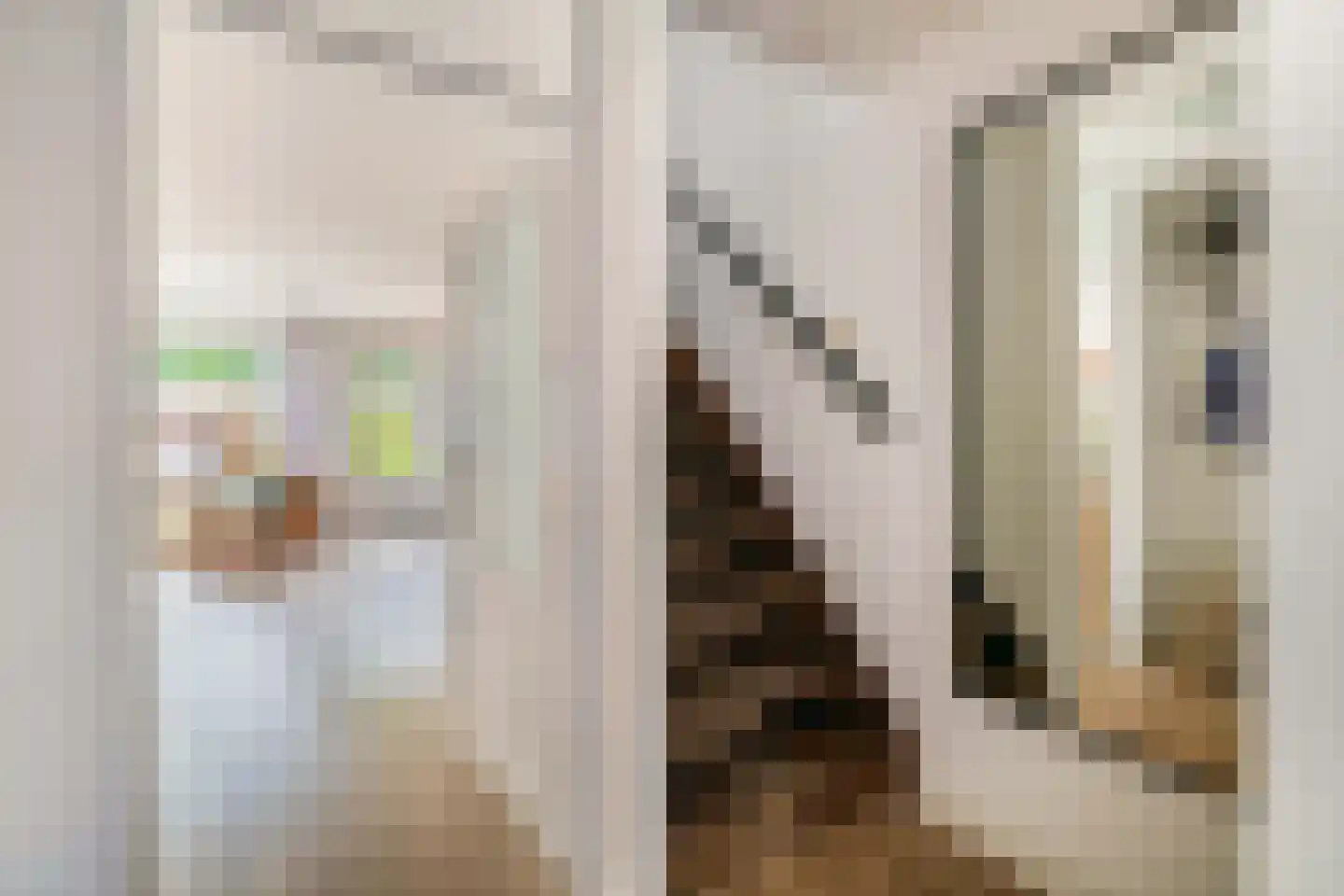 Clusiusstraat 42 Lisse thumbnail 23