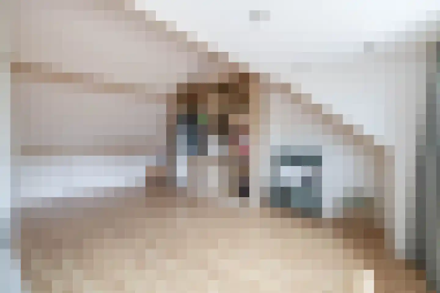 Clusiusstraat 42 Lisse thumbnail 33