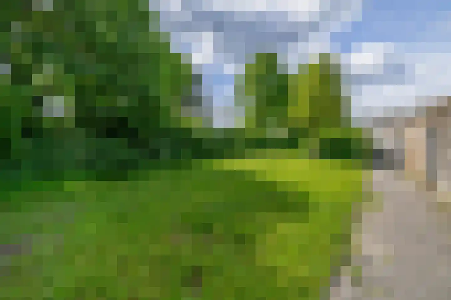 Clusiusstraat 42 Lisse thumbnail 38