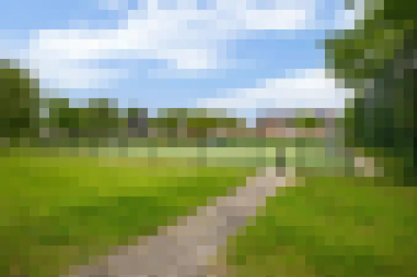 Clusiusstraat 42 Lisse thumbnail 39