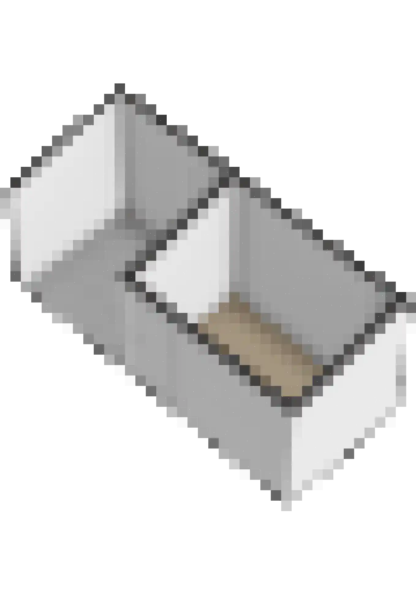 Clusiusstraat 42 Lisse thumbnail 58