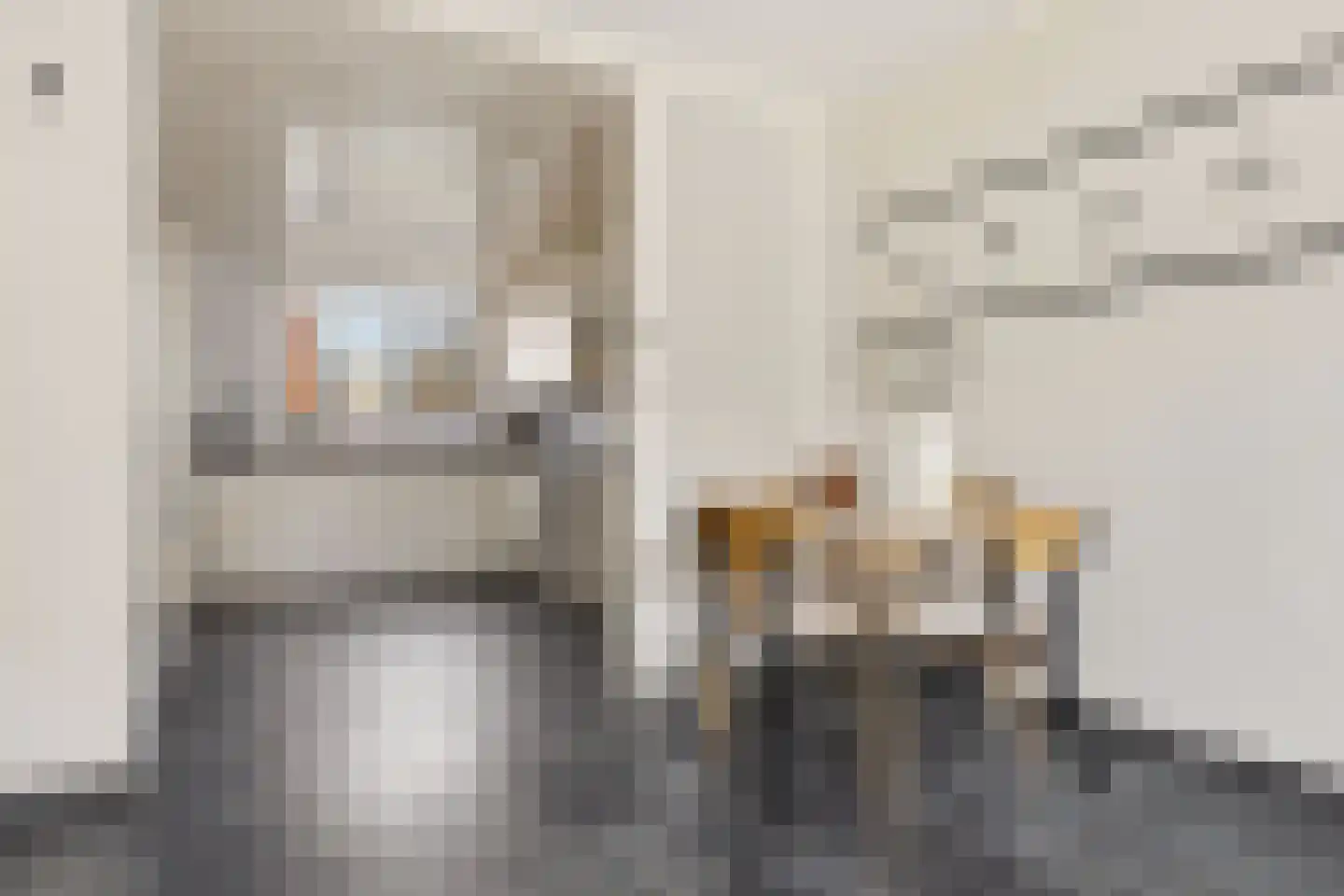 Clusiusstraat 68 Zaandam thumbnail 12