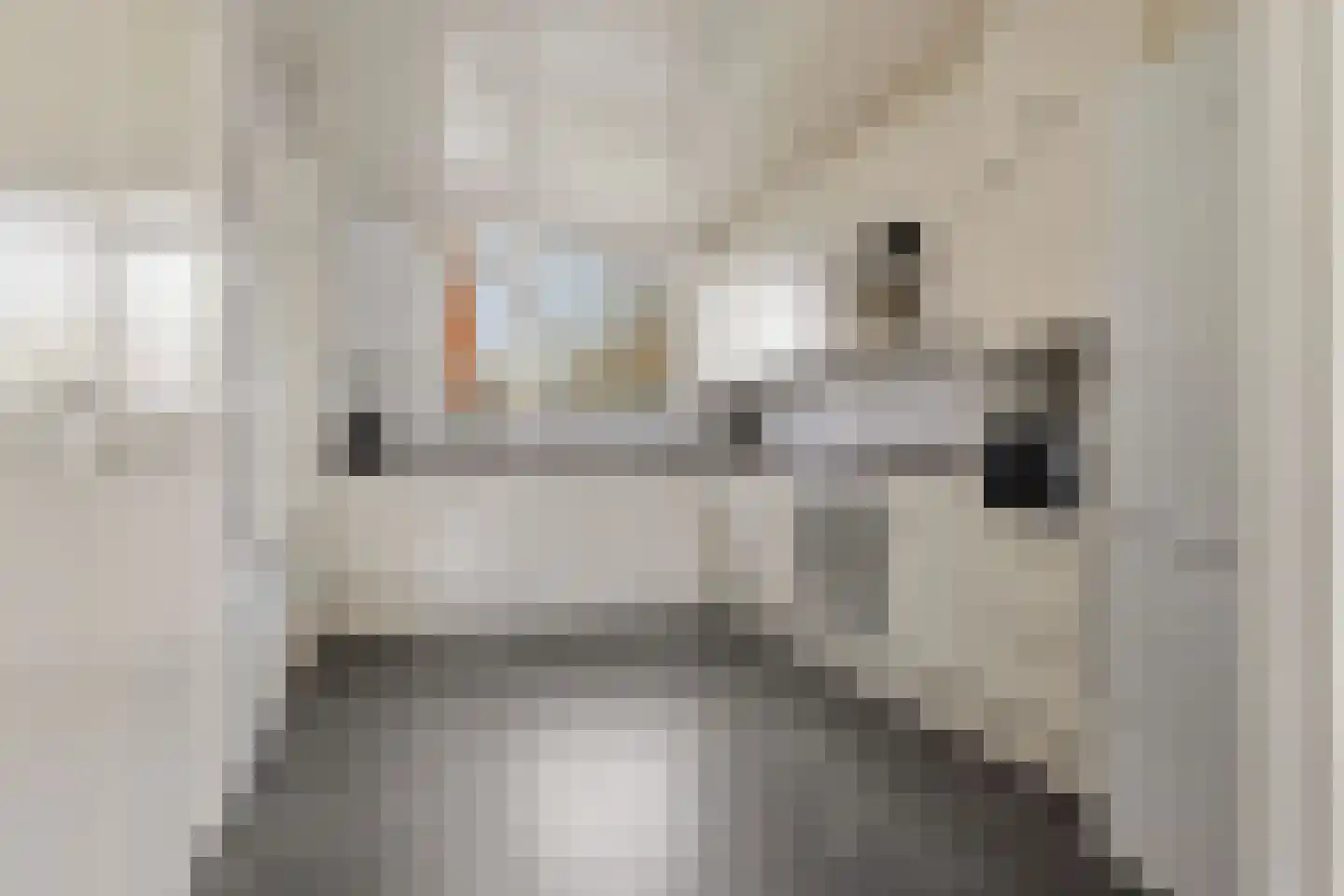 Clusiusstraat 68 Zaandam thumbnail 8