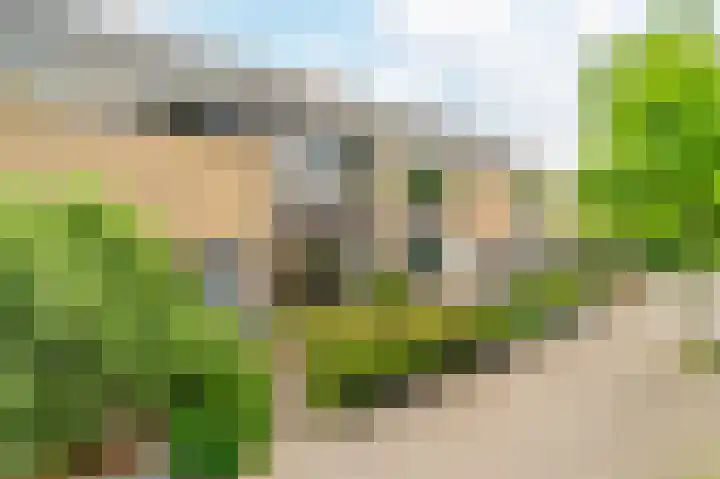 Clusiusweg 78 Noordwijk thumbnail 35