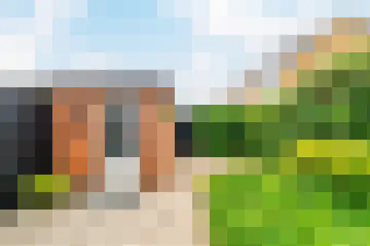 Clusiusweg 78 Noordwijk thumbnail 36
